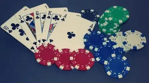 dg818 Sportsbook